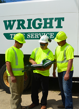 Wright Tree Service work planning
